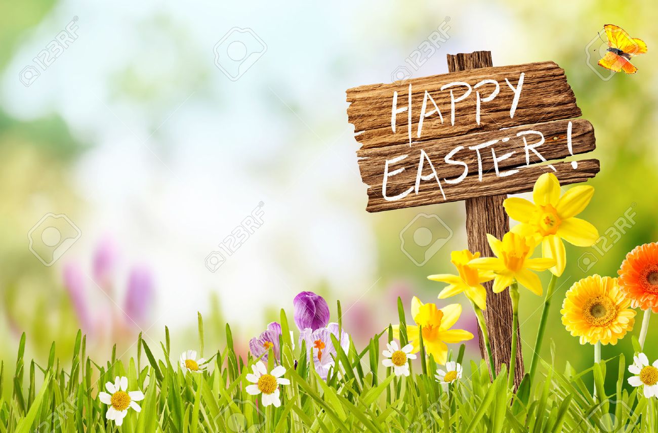 Joyful colorful spring background for a Happy easter with seasonal greeting handwritten on a rustic wooden sign board in spring countryside with fresh green grass and flowers, copy space above - 52284759 Joyful colorful spring background for a Happy easter with seasonal greeting handwritten on a rustic wooden sign board in spring countryside with fresh green grass and flowers, copy space above - 52284759