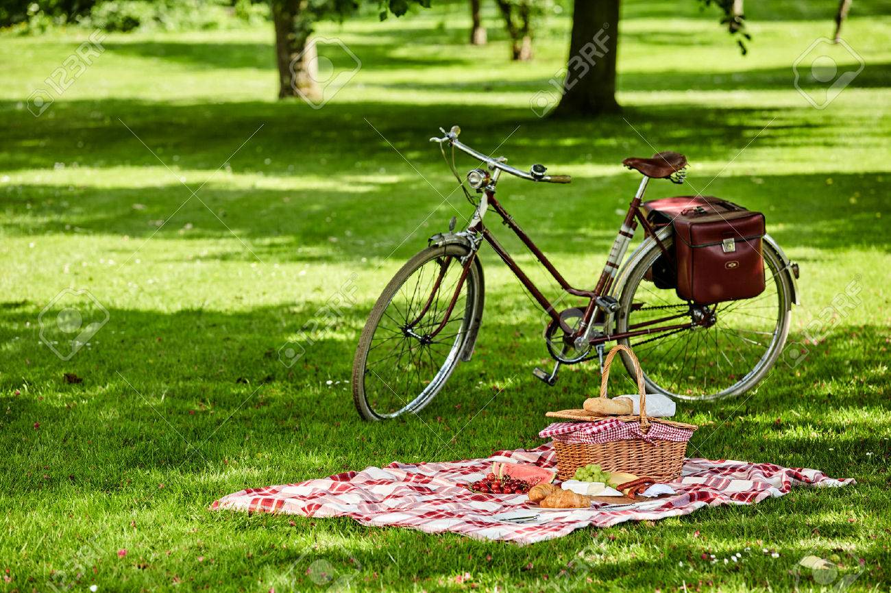picnic basket for bike
