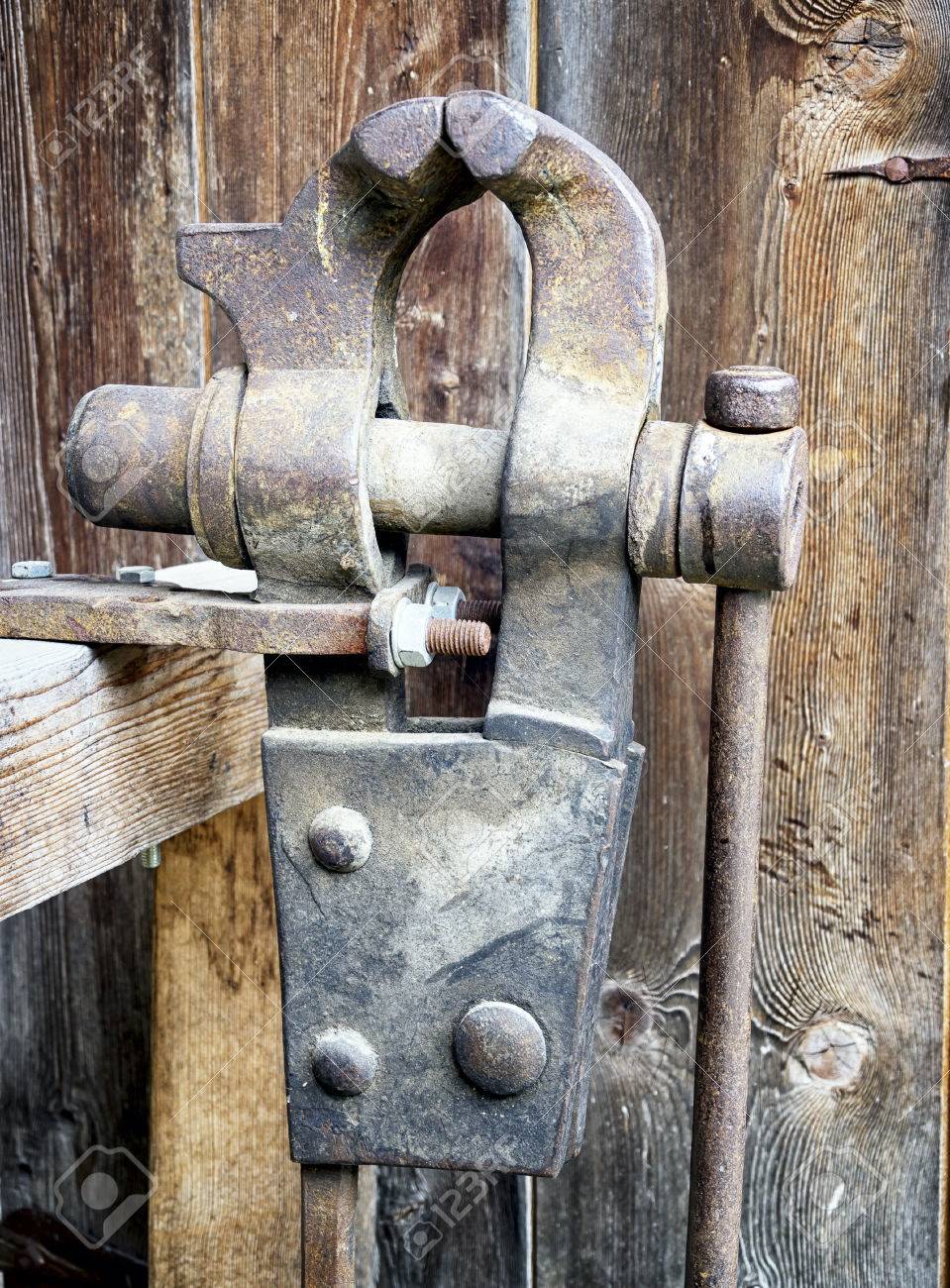 etiam-dictum-ipsum-a-felis