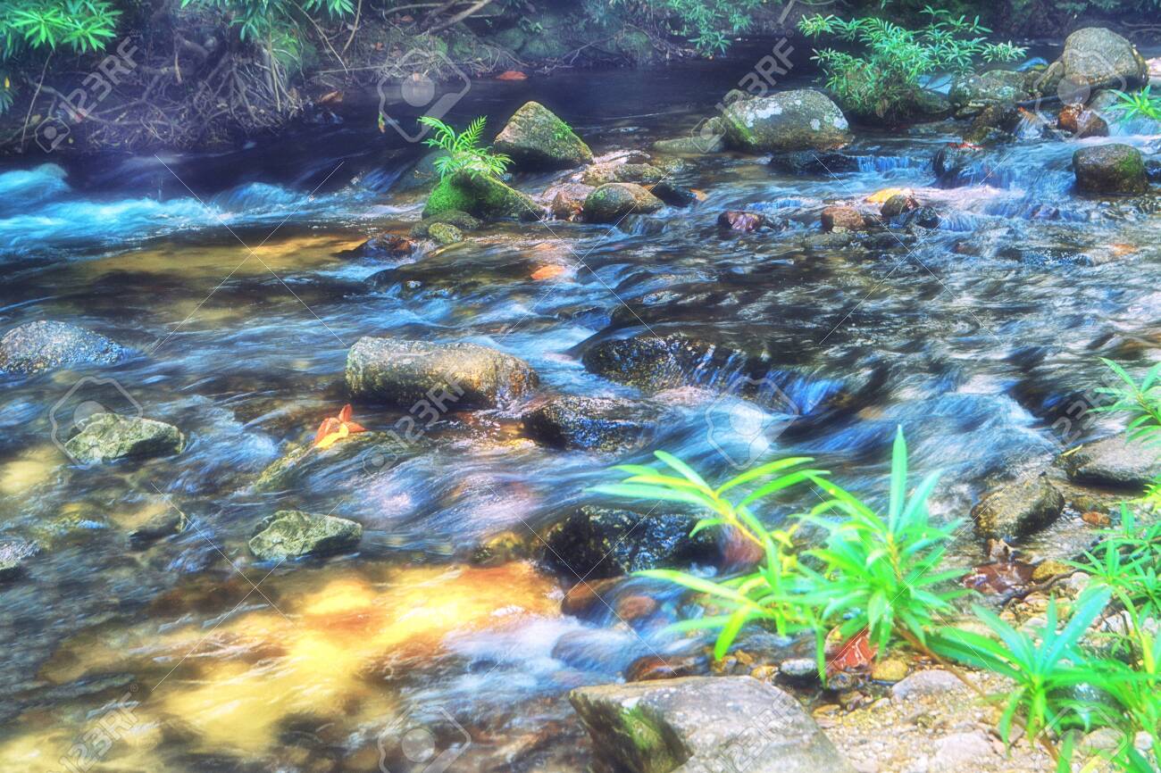 Wallpaper Water Running