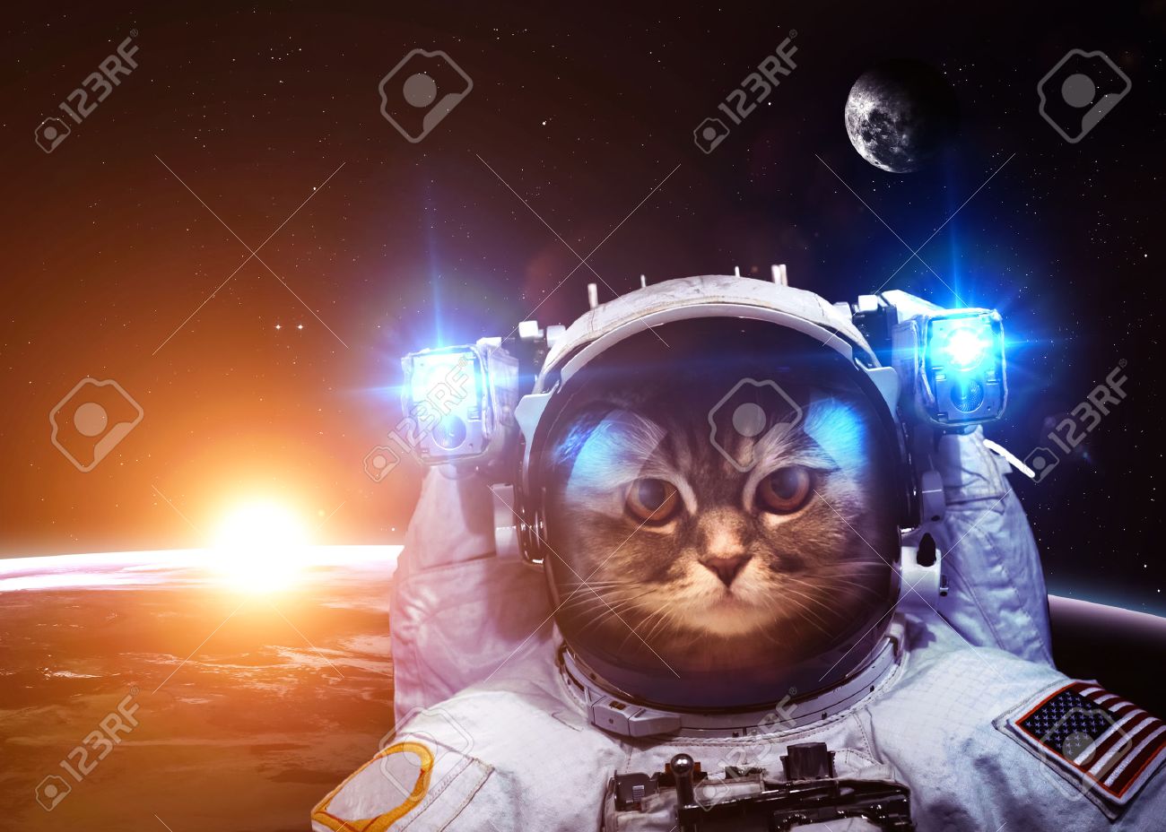 猫は宇宙飛行士は地球に浮き上がった 背景を提供する星 の写真素材 画像素材 Image