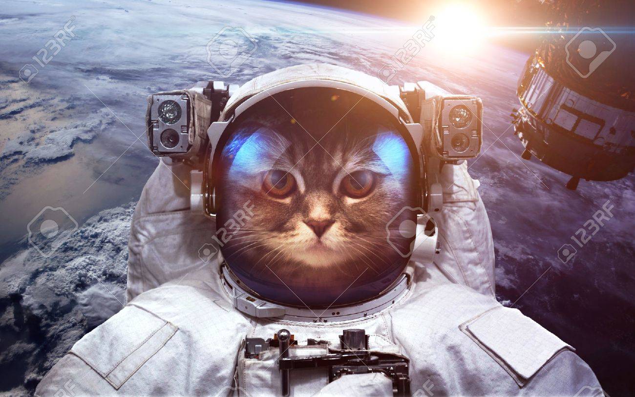 Astronaut cat in outer space against the backdrop of the planet earth - 52306132 Astronaut cat in outer space against the backdrop of the planet earth - 52306132