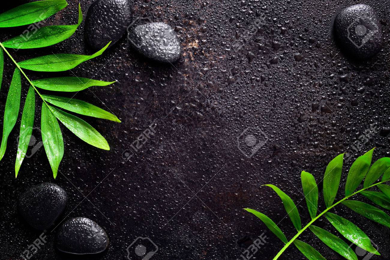 dark spa background moisturising concept palm leaves and black