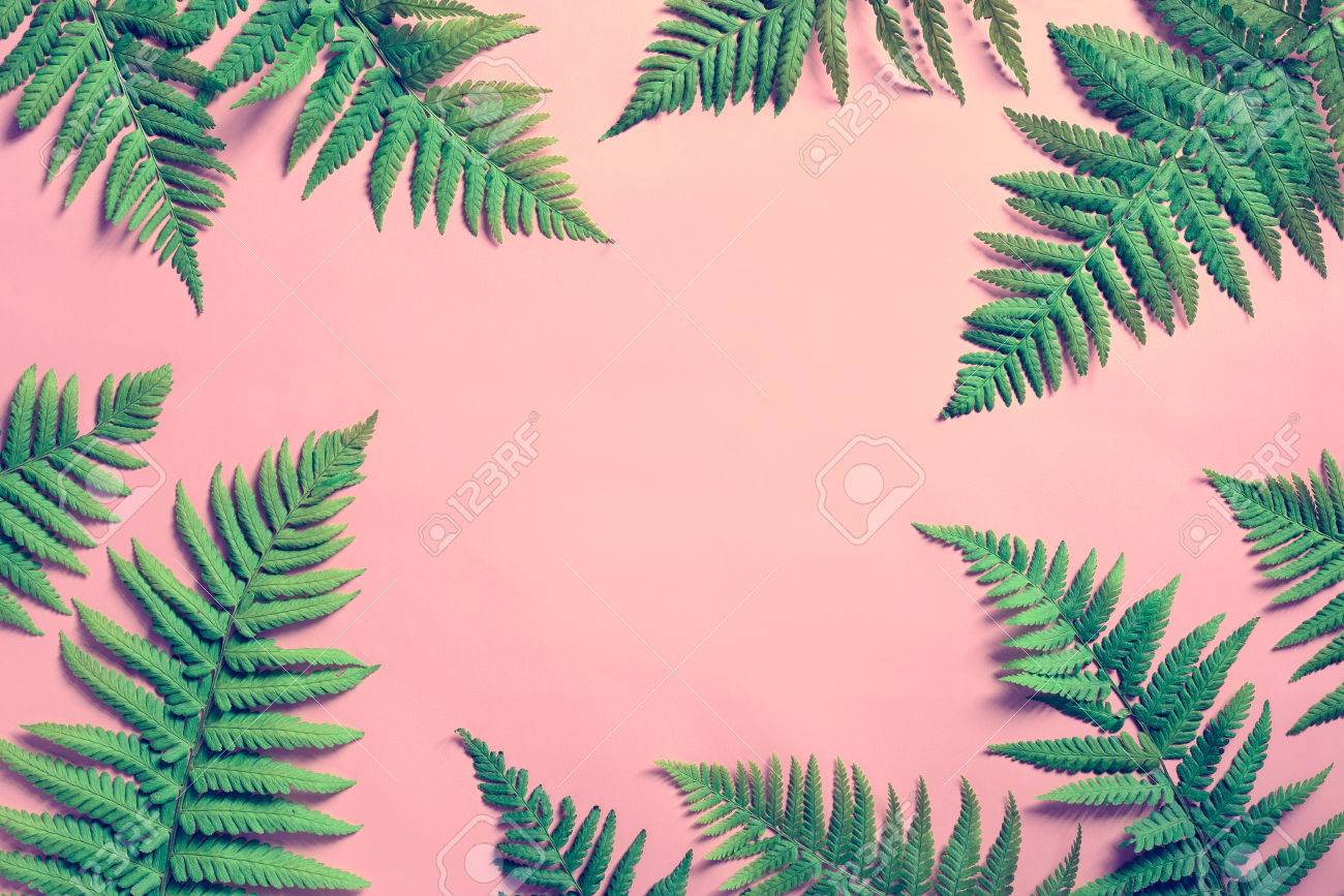 tropical summer background fern leaves set in the frame around