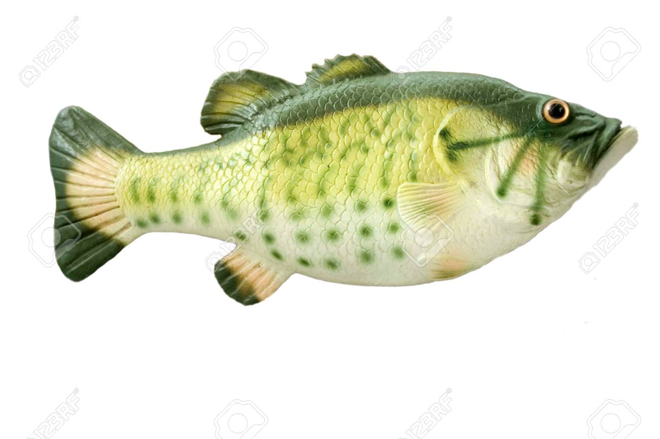 bass fish toy