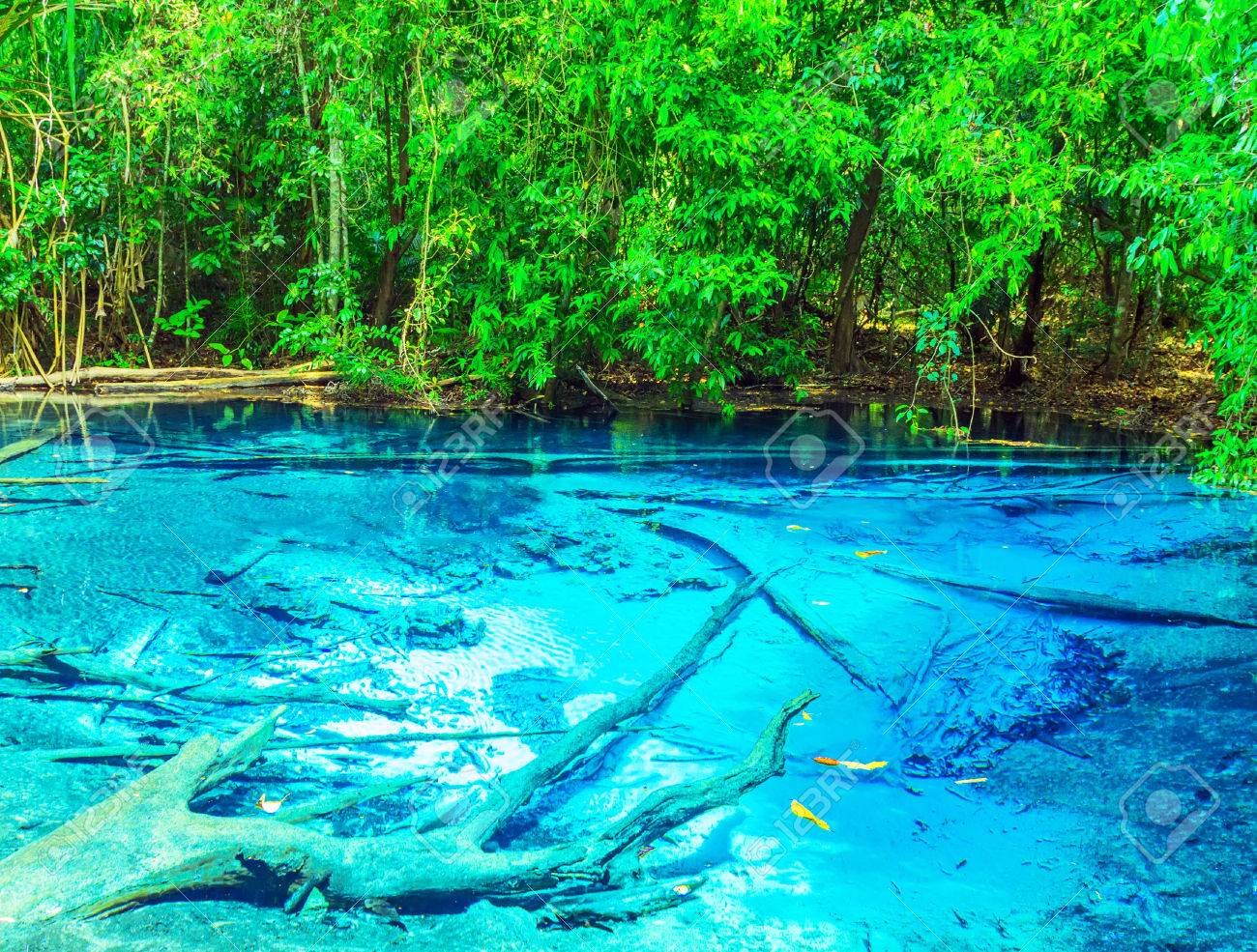 Blue Pool Krabi Province Thailand Forest Sra Morakot Stock Photo Picture And Royalty Free Image Image 54635461