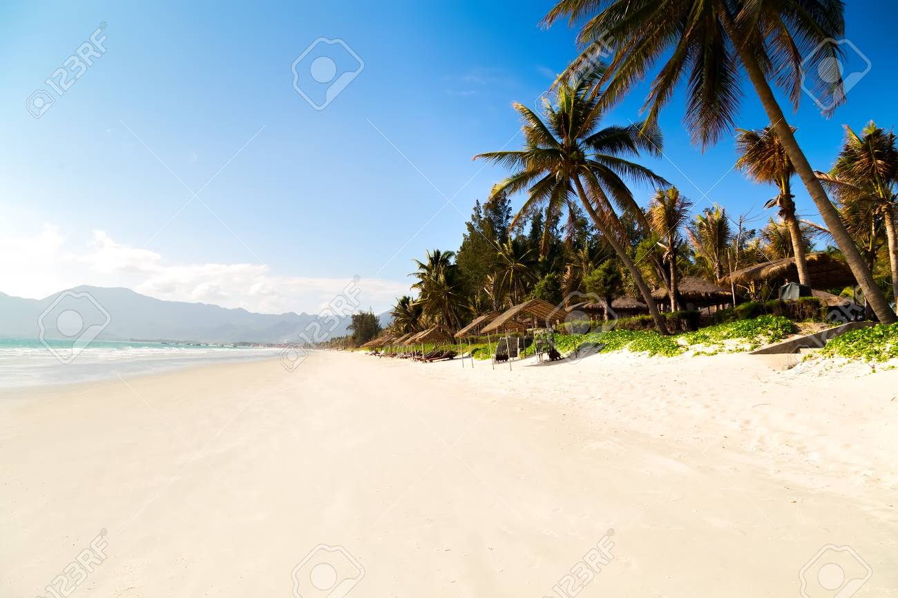 jungle island sea landscape with palm and tropical bech white