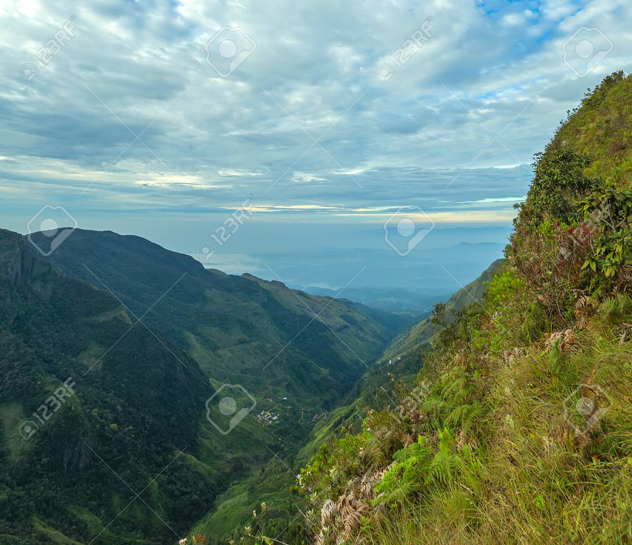 Sri Lanka Landschapsnatuurwoud Van Het Horton Plains National Park Uitzicht Vanaf World S End Royalty Vrije Foto Plaatjes Beelden En Stock Fotografie Image