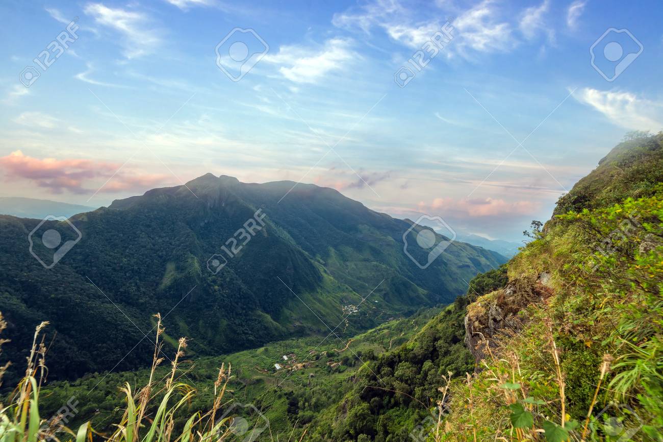 Sri Lanka Landschapsnatuurwoud Van Het Horton Plains National Park Uitzicht Vanaf World End Royalty Vrije Foto Plaatjes Beelden En Stock Fotografie Image