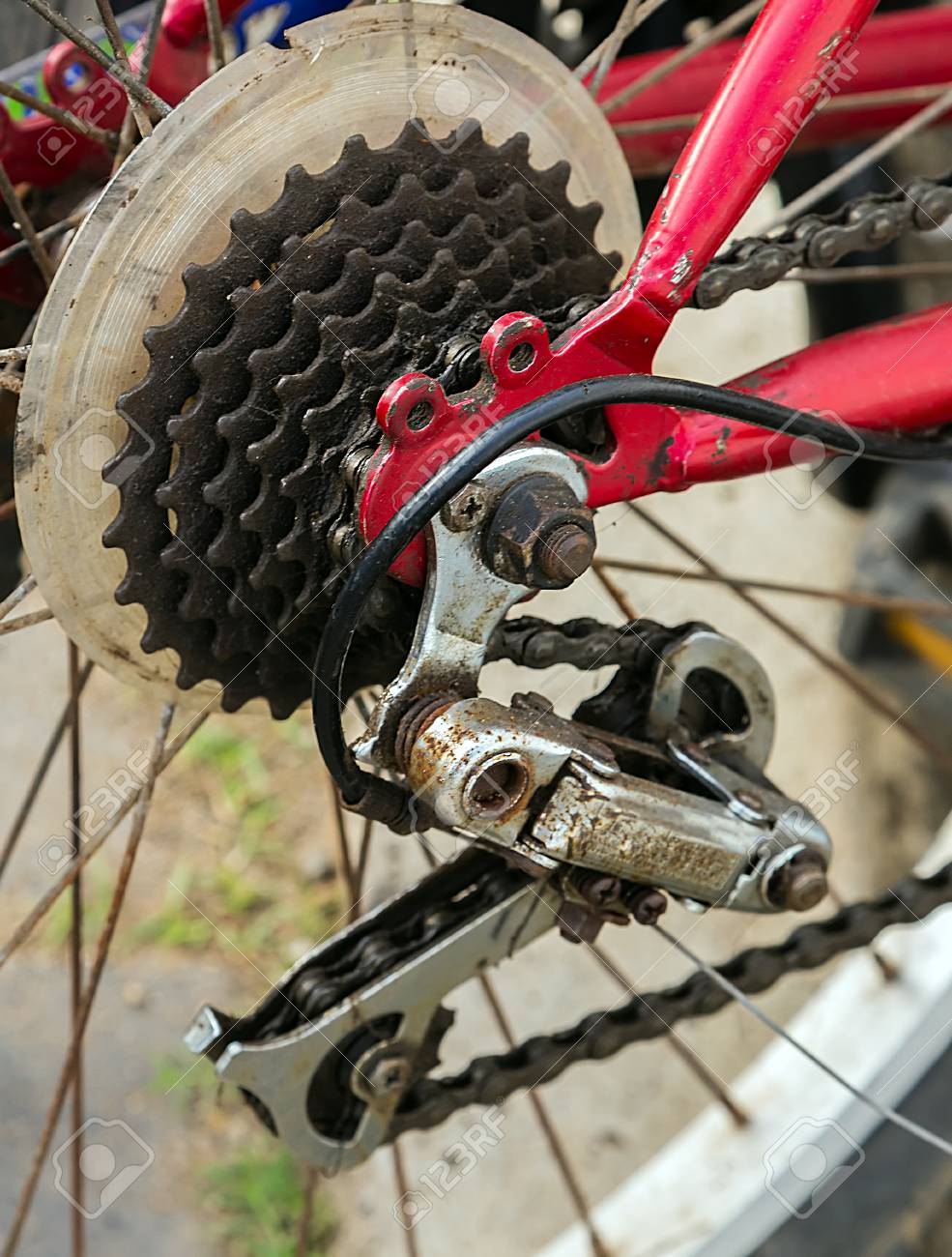 etiam-dictum-ipsum-a-felis