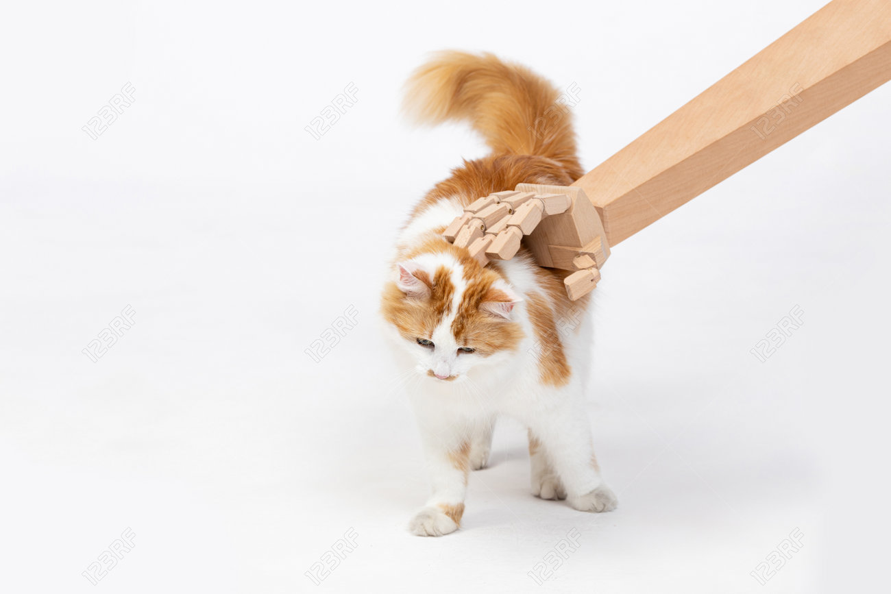 etiam-dictum-ipsum-a-felis