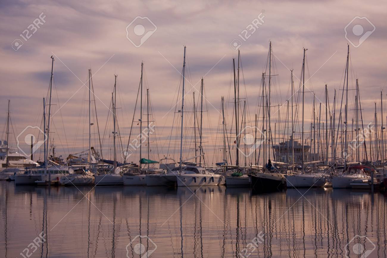 etiam-dictum-ipsum-a-felis