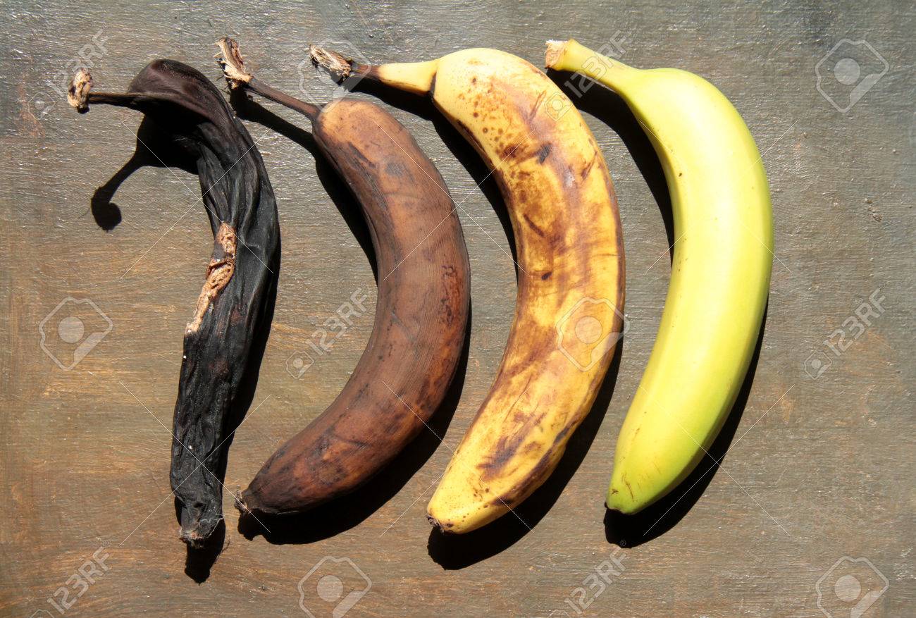 rotten banana still life stock photo picture and royalty free image