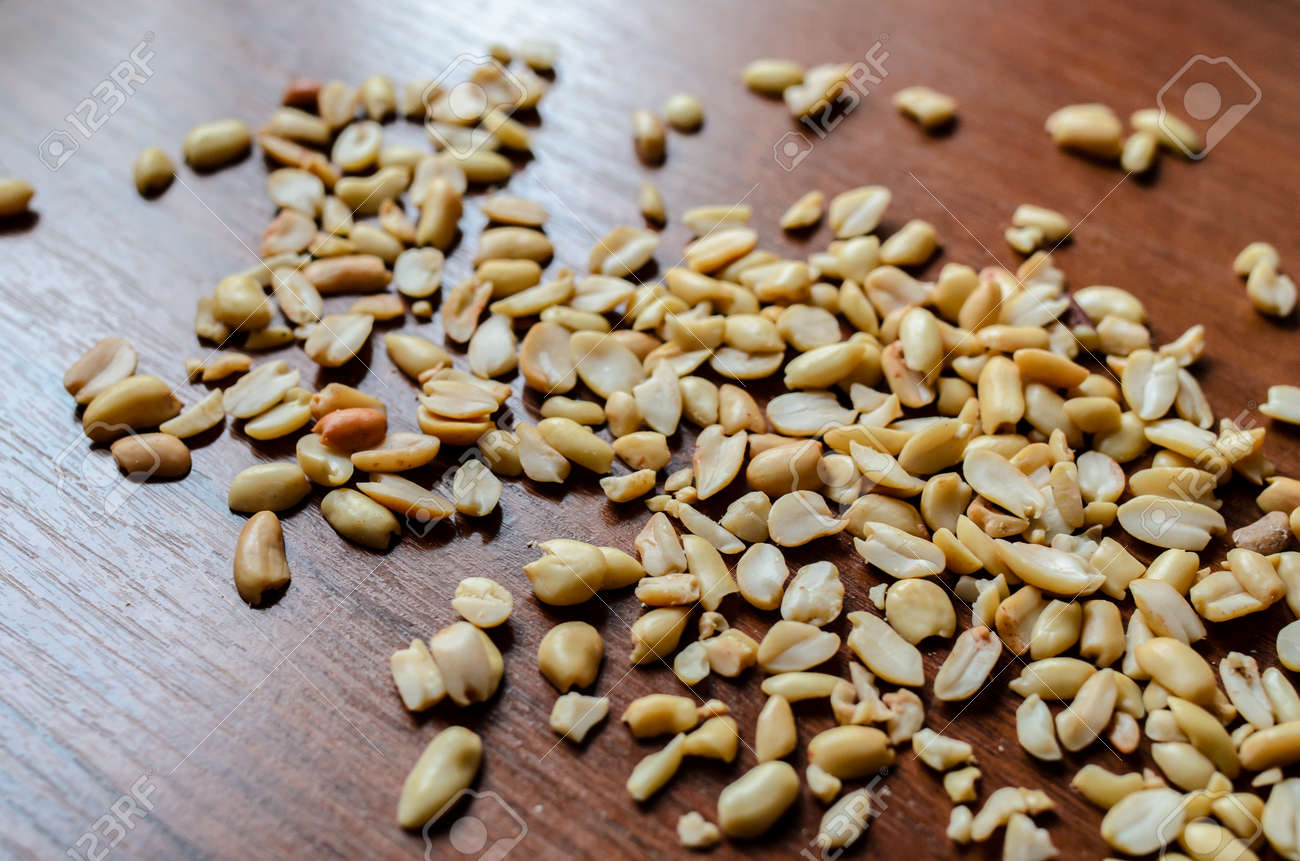 etiam-dictum-ipsum-a-felis