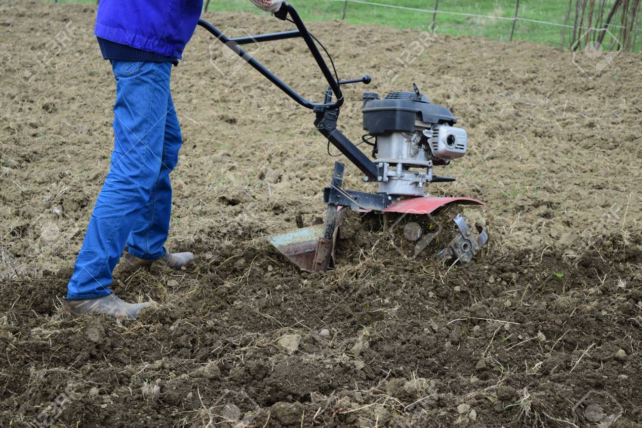 Walk Behind Tractor >> Planting Potatoes Under The Walk Behind Tractor Man With Motor Block Walk Behind Tractor >> Planting Potatoes Under The Walk Behind Tractor Man With Motor Block