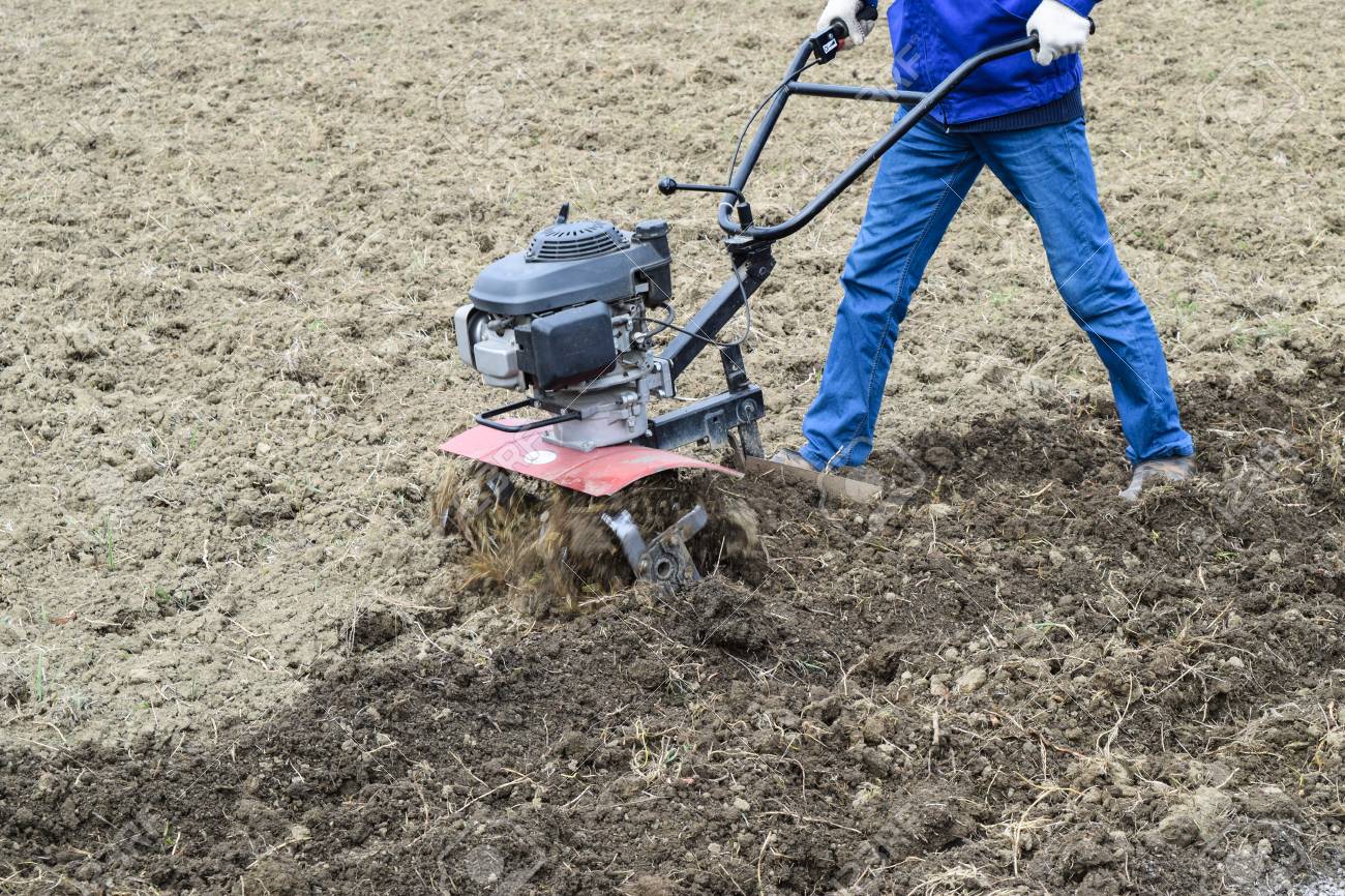 Walk Behind Tractor >> Planting Potatoes Under The Walk Behind Tractor Man With Motor Block Walk Behind Tractor >> Planting Potatoes Under The Walk Behind Tractor Man With Motor Block