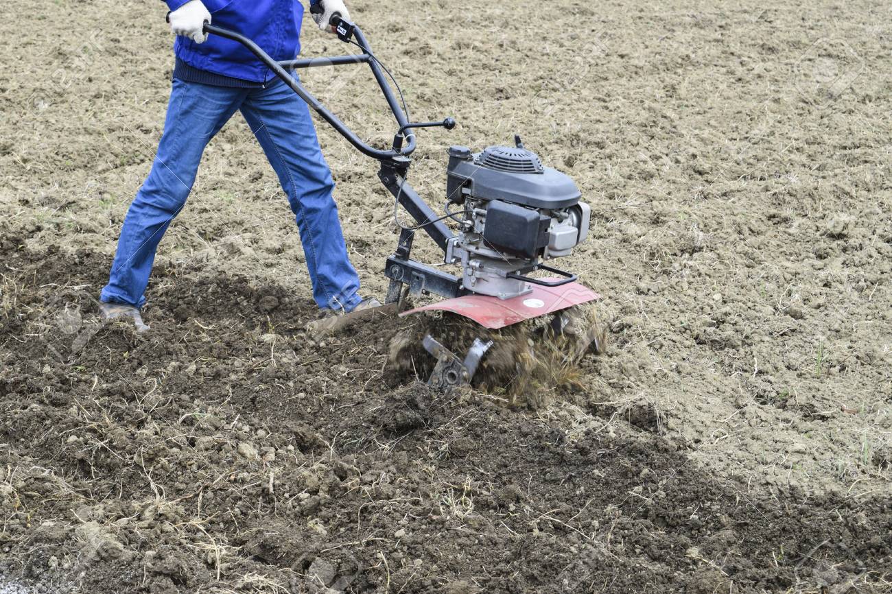 Walk Behind Tractor >> Planting Potatoes Under The Walk Behind Tractor Man With Motor Walk Behind Tractor >> Planting Potatoes Under The Walk Behind Tractor Man With Motor
