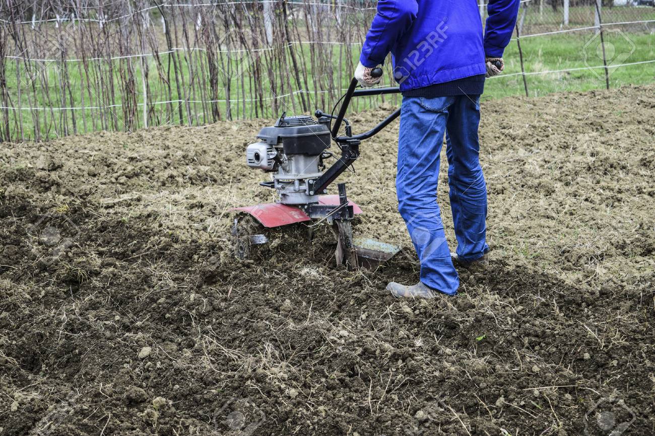 Walk Behind Tractor >> Planting Potatoes Under The Walk Behind Tractor Man With Motor Walk Behind Tractor >> Planting Potatoes Under The Walk Behind Tractor Man With Motor