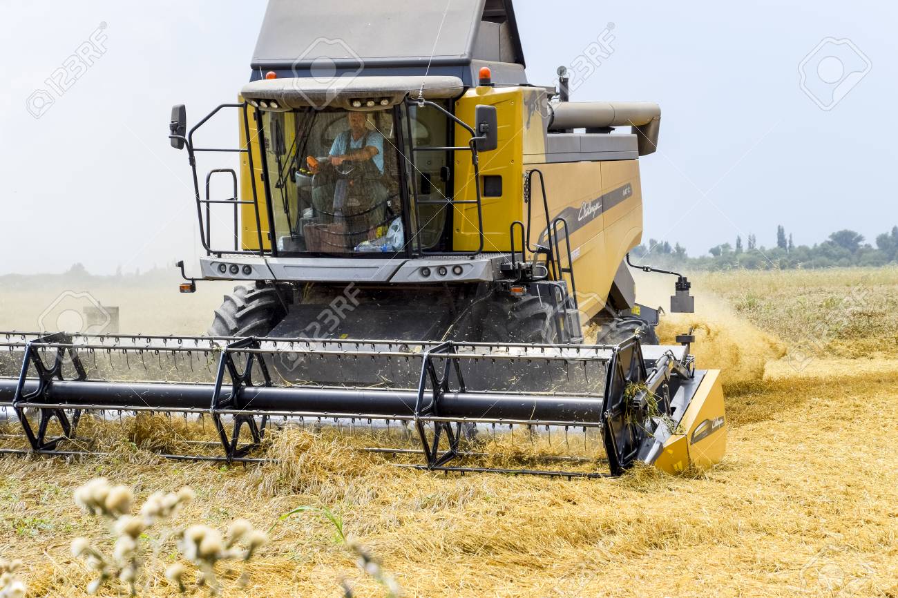 ロシアのクラスノダール近郊の畑 17年7月15日 コンバインハーベスターで小麦を収穫 熟した小麦の畑 農業機械 の写真素材 画像素材 Image