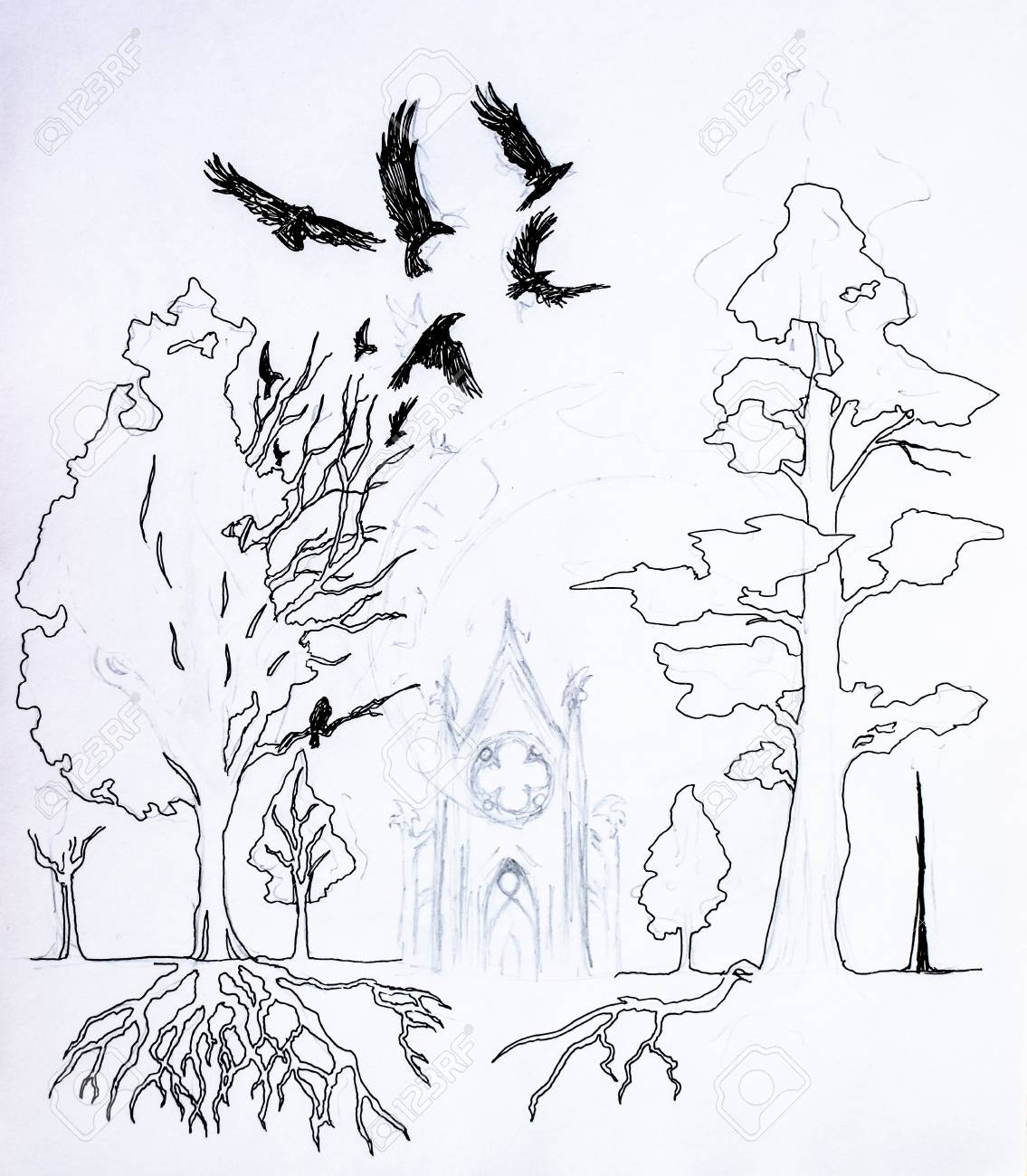 Crow Flying Over The Forest Roots And Crown Of Trees In The Stock Photo Picture And Royalty Free Image Image