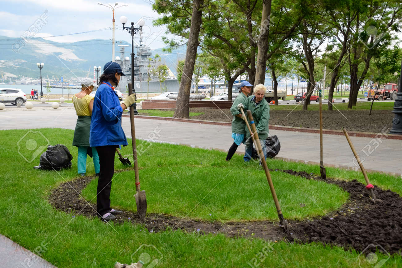 Novorossiysk, Russia - May 20, 2018: Janitors do landscape design. Planting flowers on a flower bed. - 133522200 Novorossiysk, Russia - May 20, 2018: Janitors do landscape design. Planting flowers on a flower bed. - 133522200