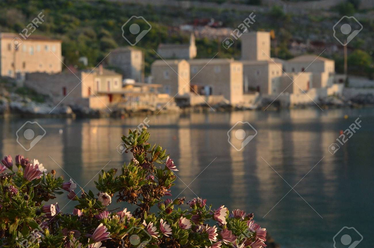 etiam-dictum-ipsum-a-felis