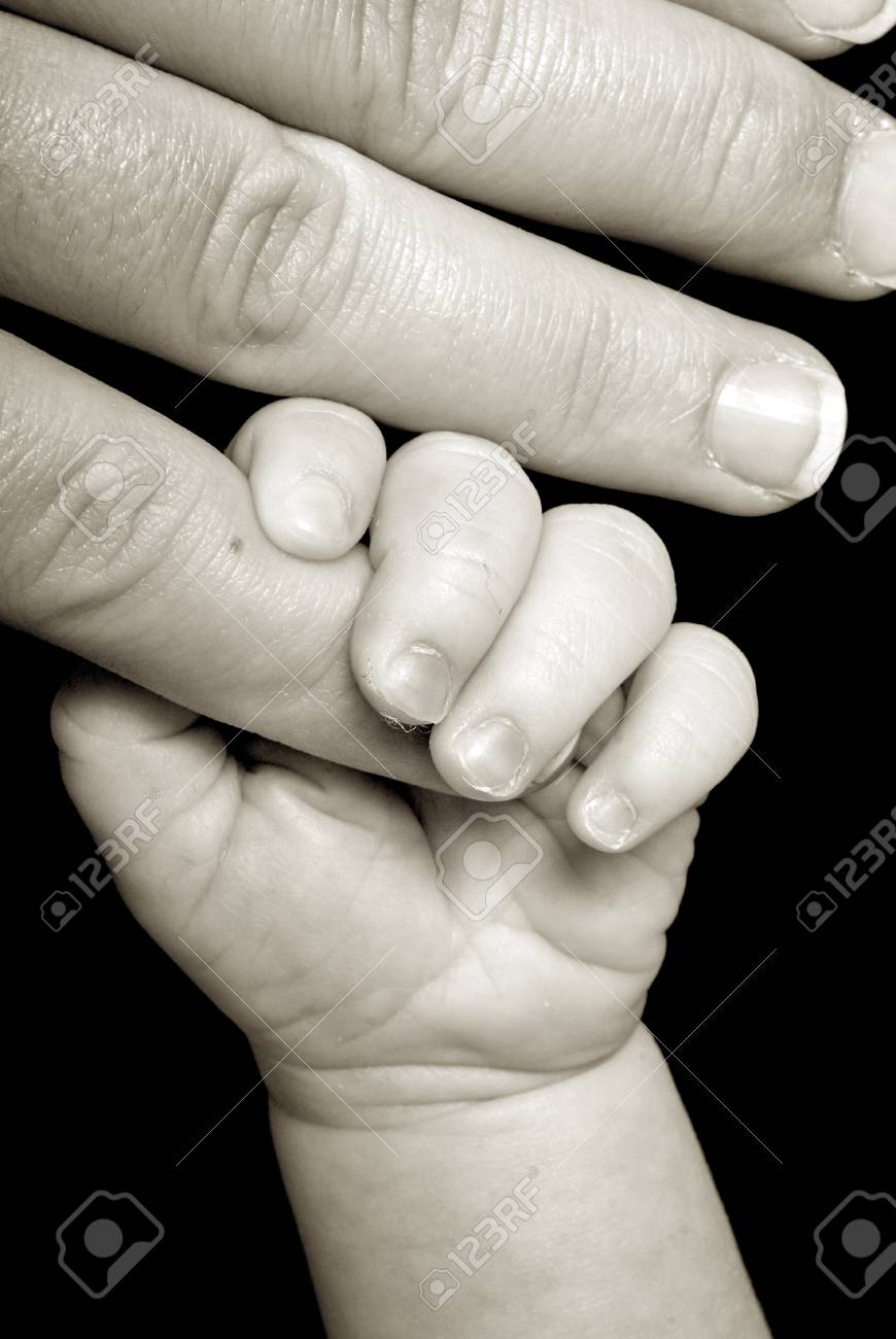 Baby Hand Holding By Adult Stock Photo Picture And Royalty Free Image Image