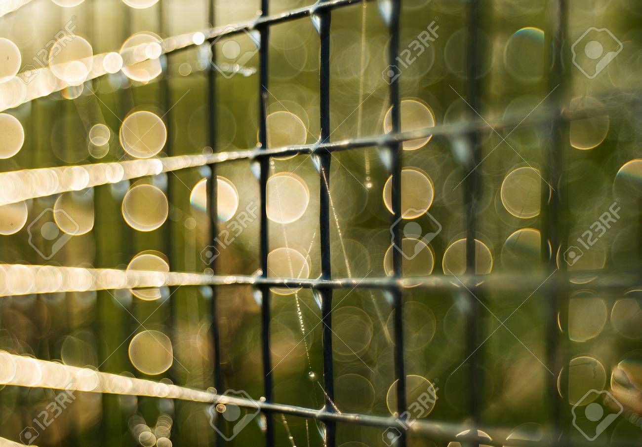 etiam-dictum-ipsum-a-felis