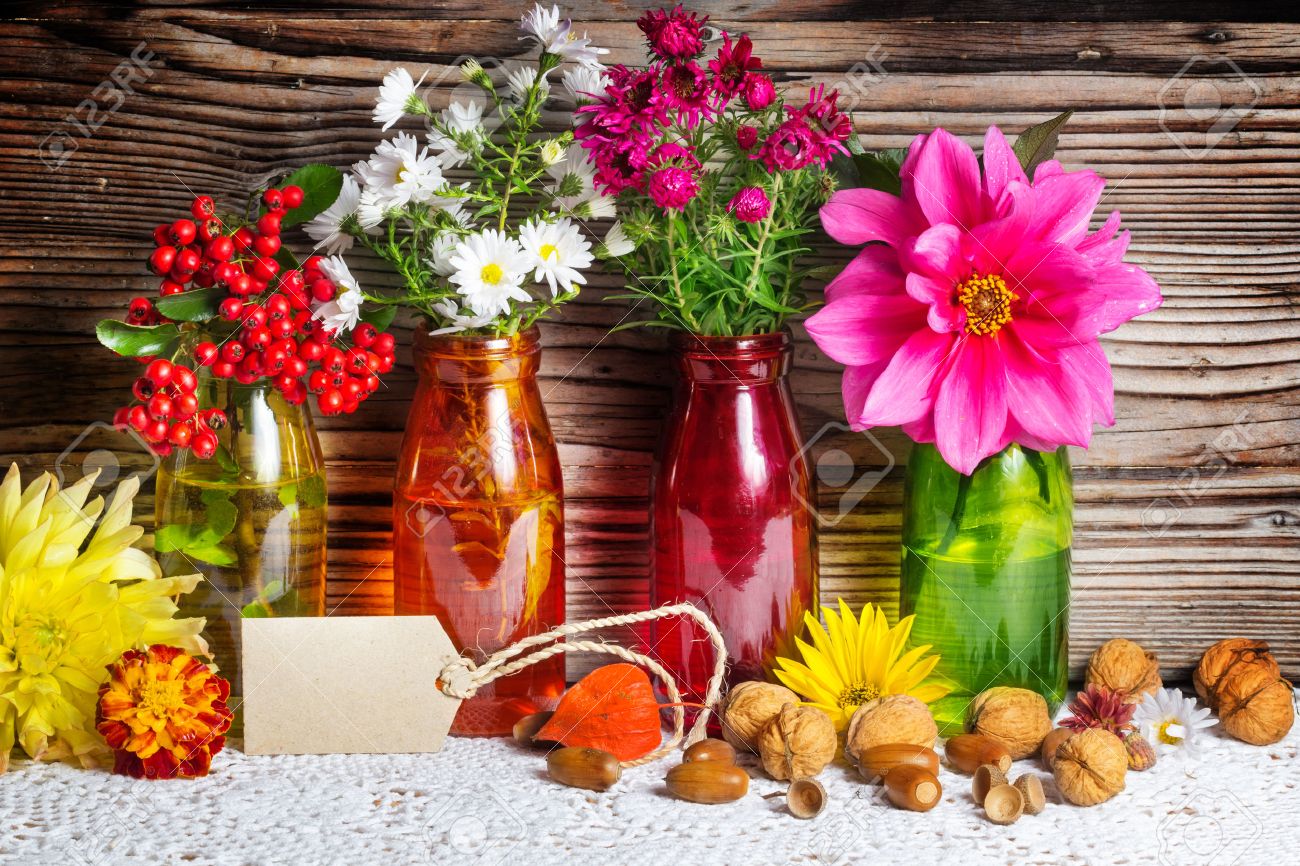 Résultat de recherche d'images pour "FLEURS D'aUTOMNE"