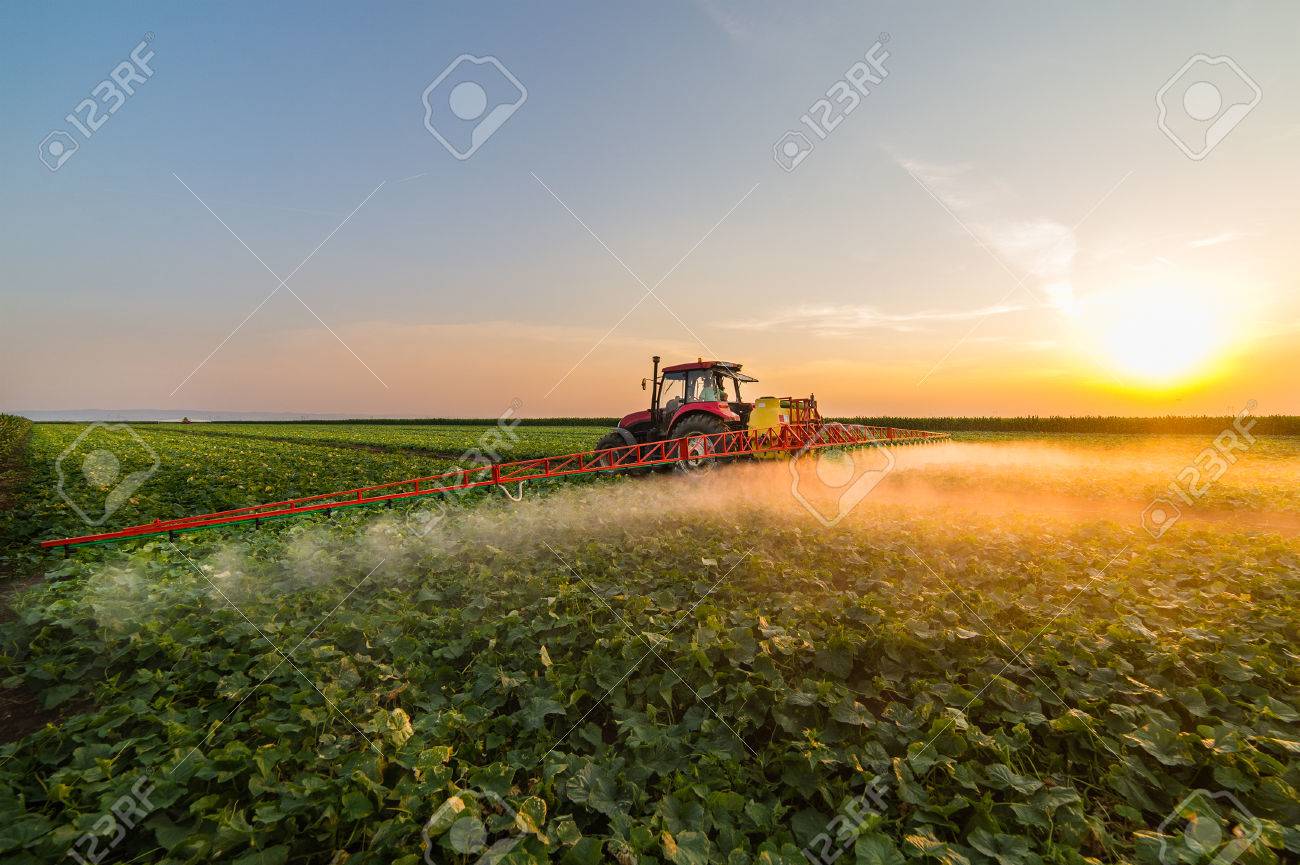 Tractor spraying pesticides on vegetable field with sprayer at spring - 80839840 Tractor spraying pesticides on vegetable field with sprayer at spring - 80839840