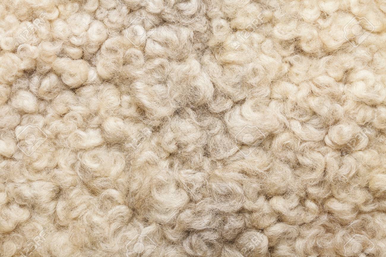 wool fur