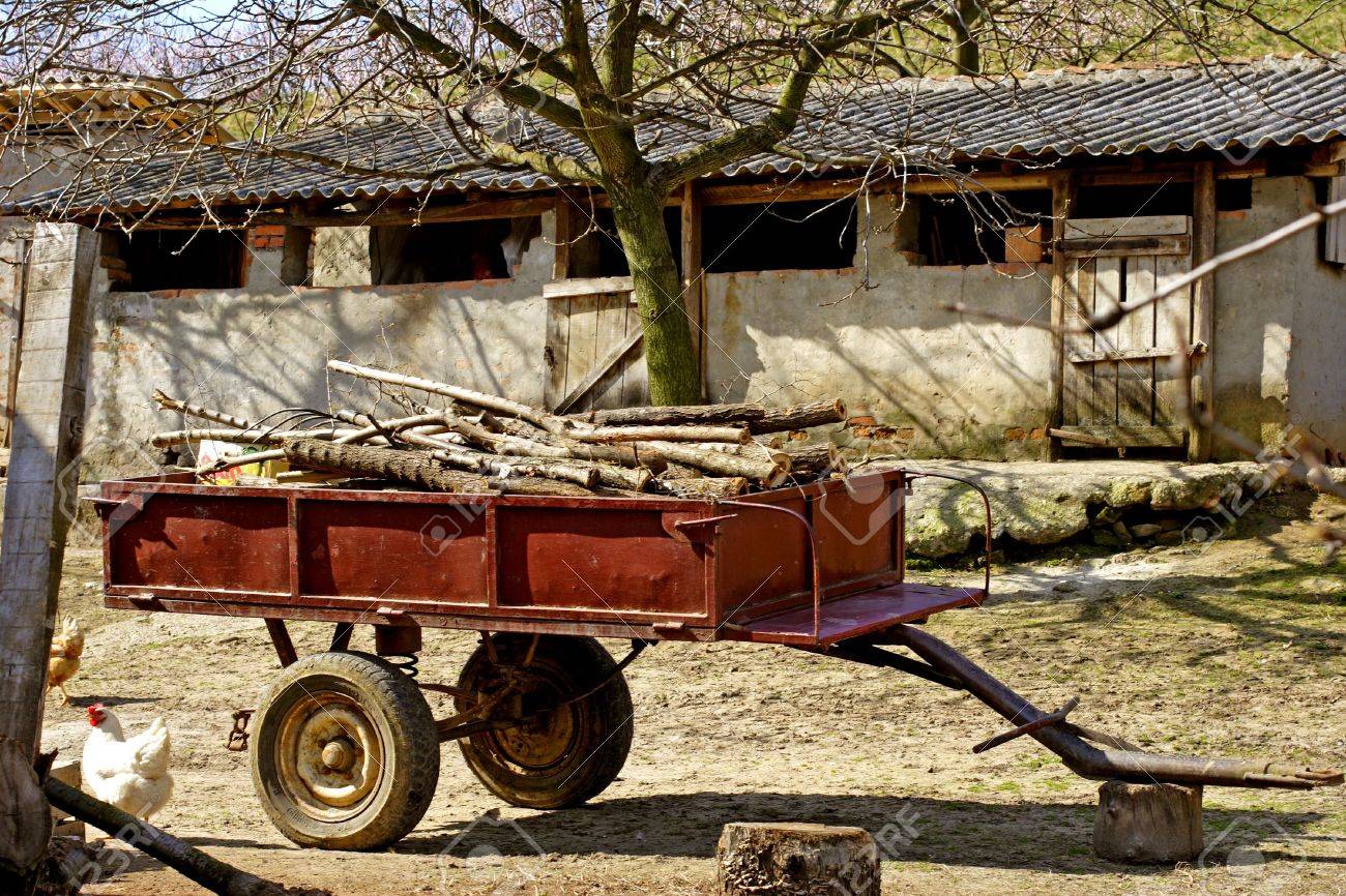 etiam-dictum-ipsum-a-felis