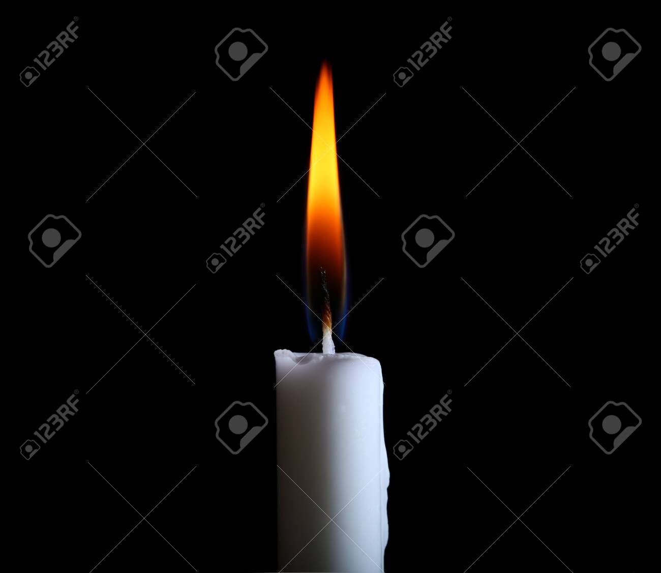 etiam-dictum-ipsum-a-felis