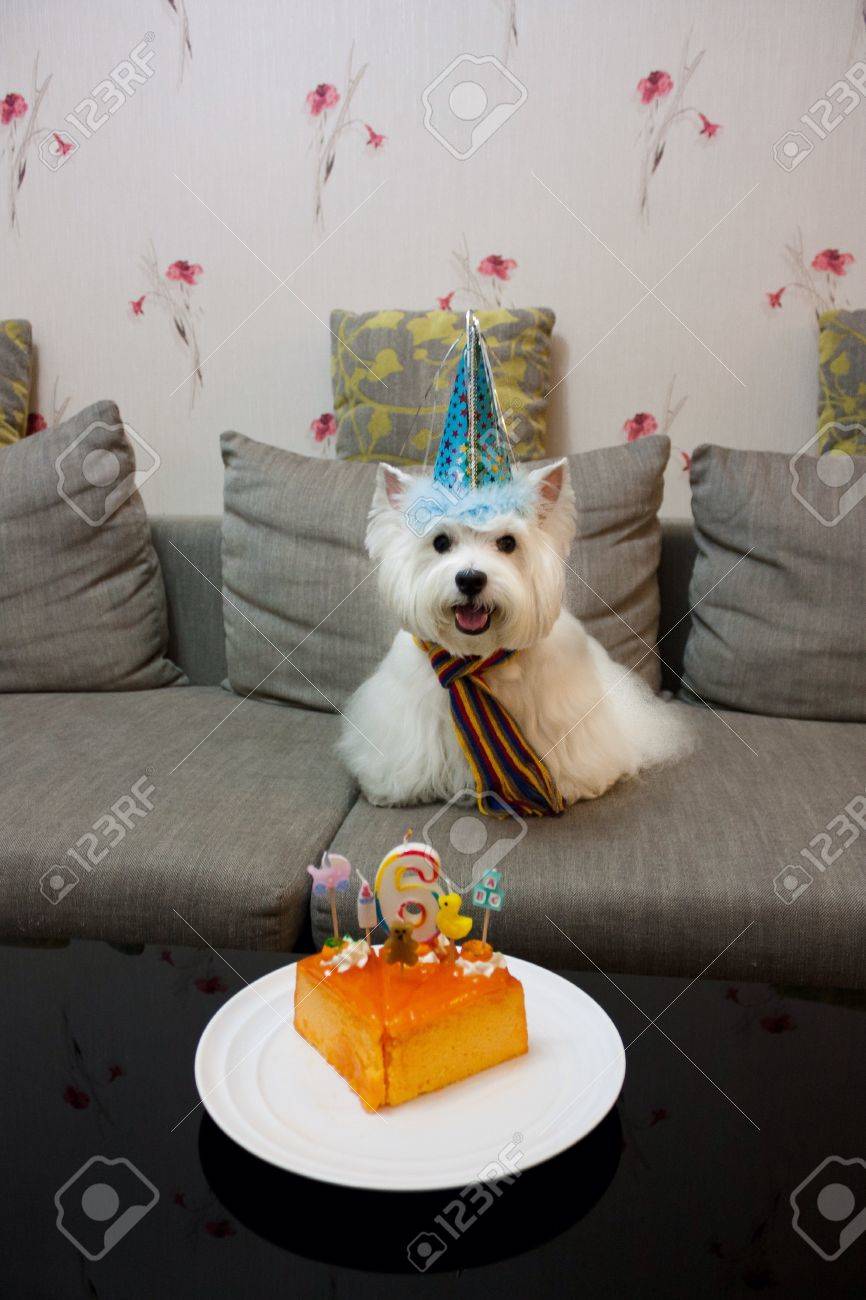 westie birthday cake
