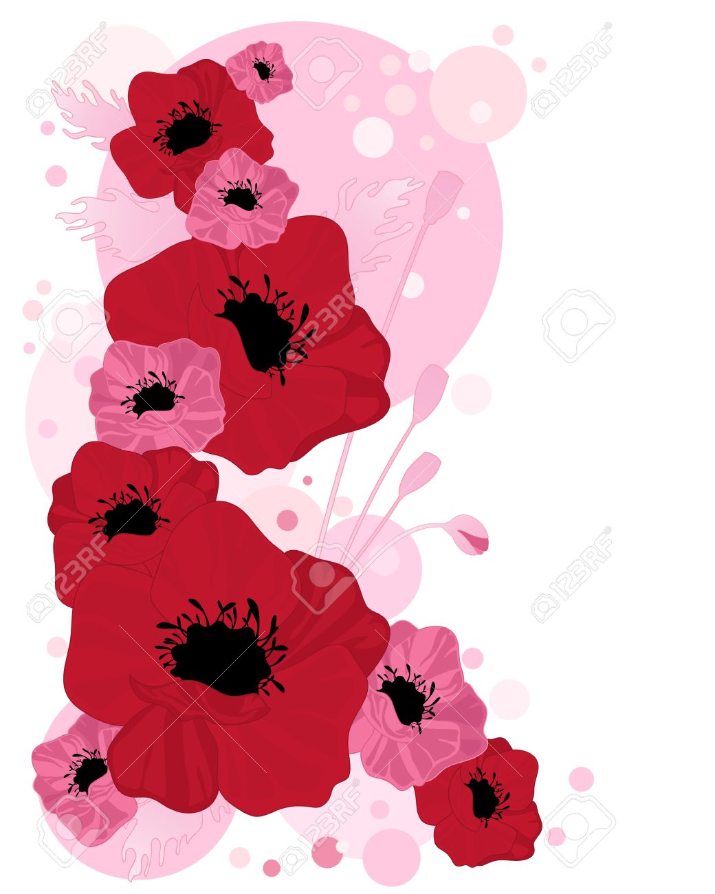 最新のhdキャンディ 花 美しい花の画像
