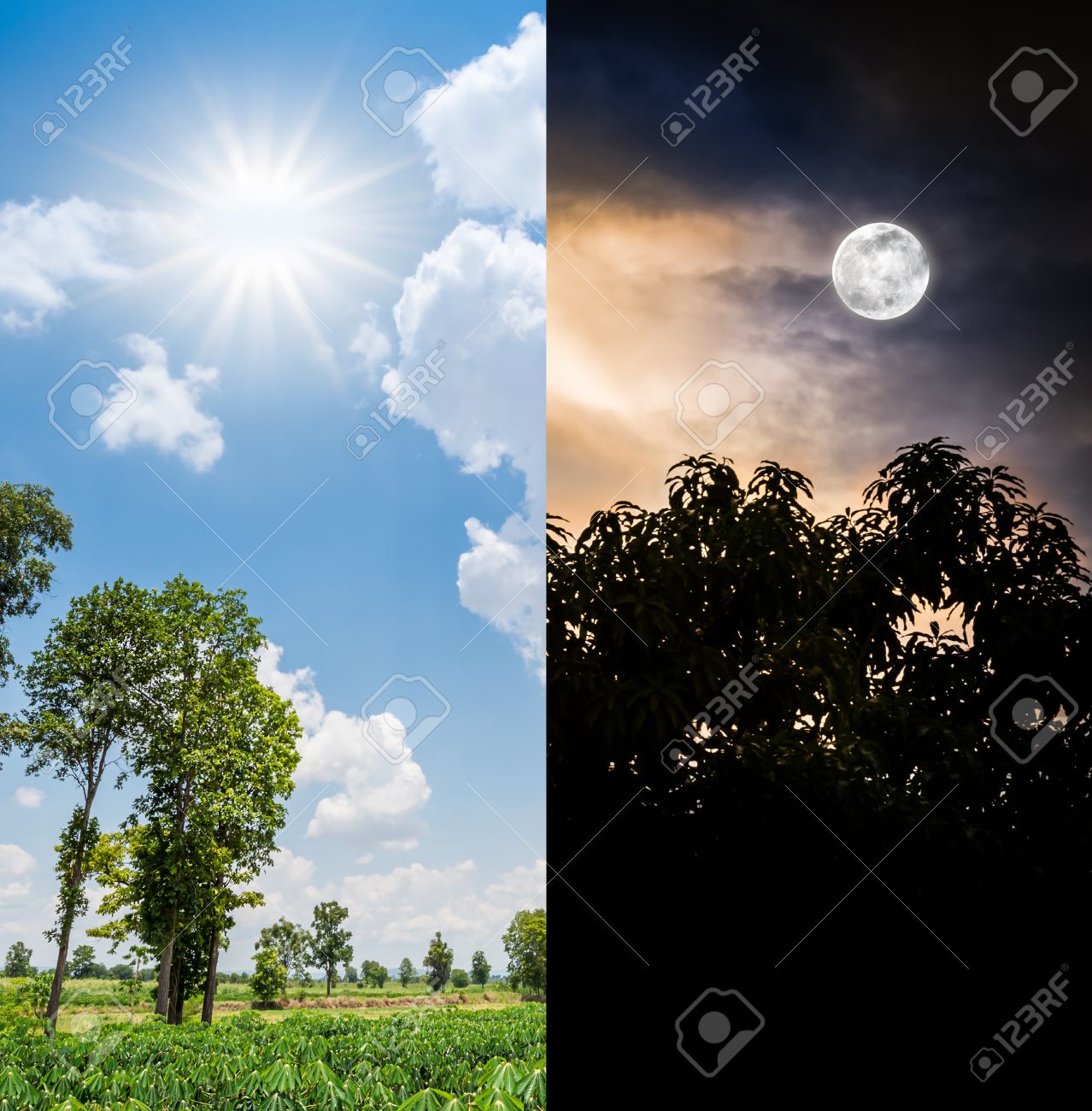 Sun In Daytime And Moon In Nighttime Stock Photo, Picture and Royalty Free  Image. Image 28507514., image size:1278x1300
