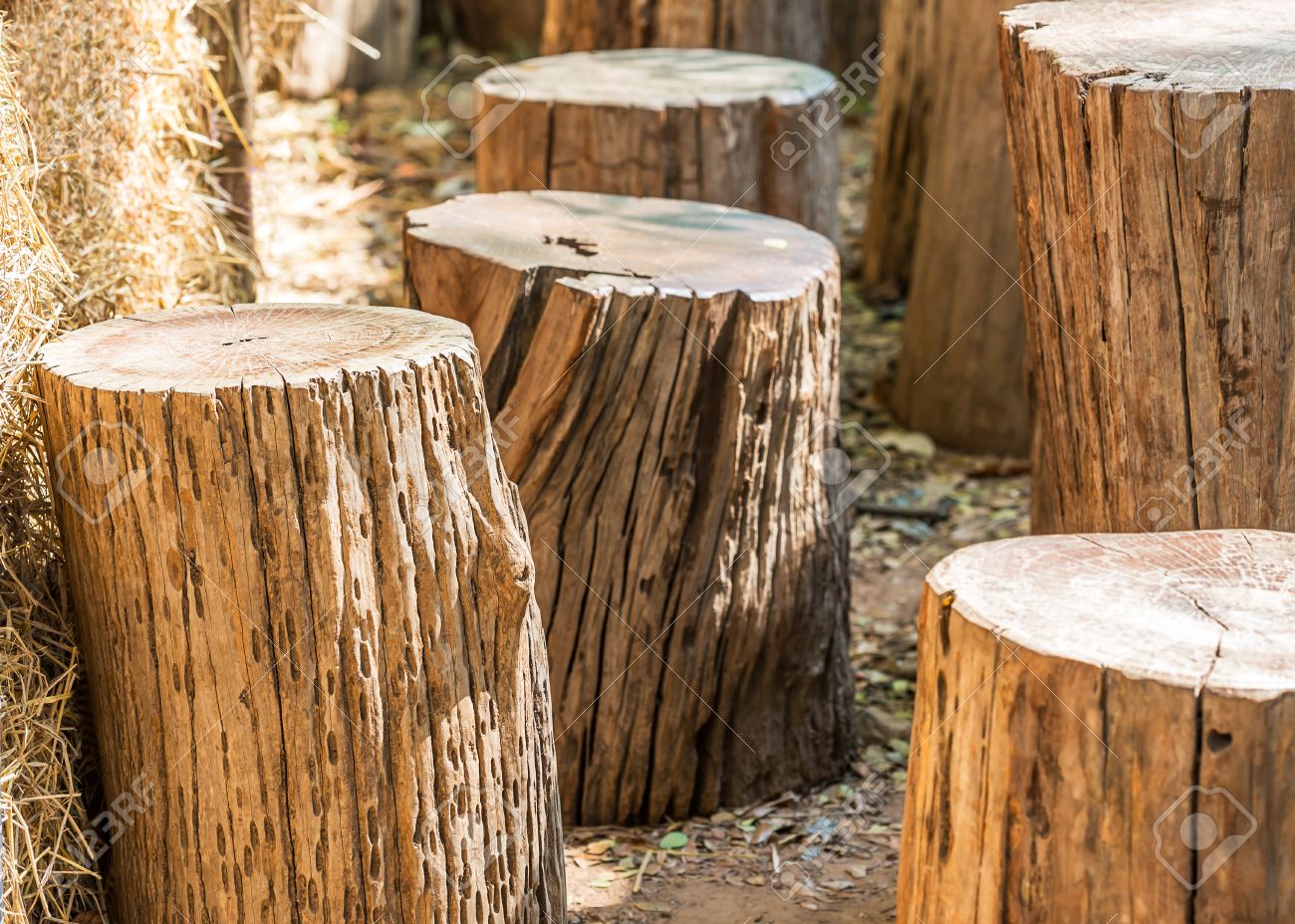 Natural Garden Furniture Made From Wooden Log Stock Photo Picture