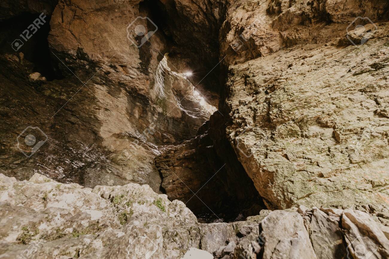 etiam-dictum-ipsum-a-felis