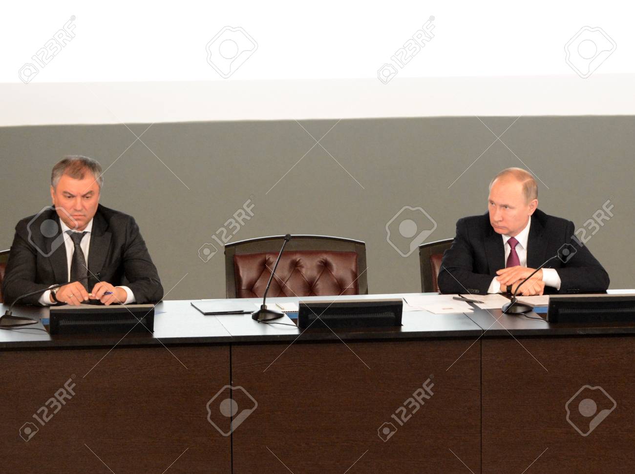 Vladimir Putin, President of the Russian Federation 17 Vladimir Putin, President of the Russian Federation 22