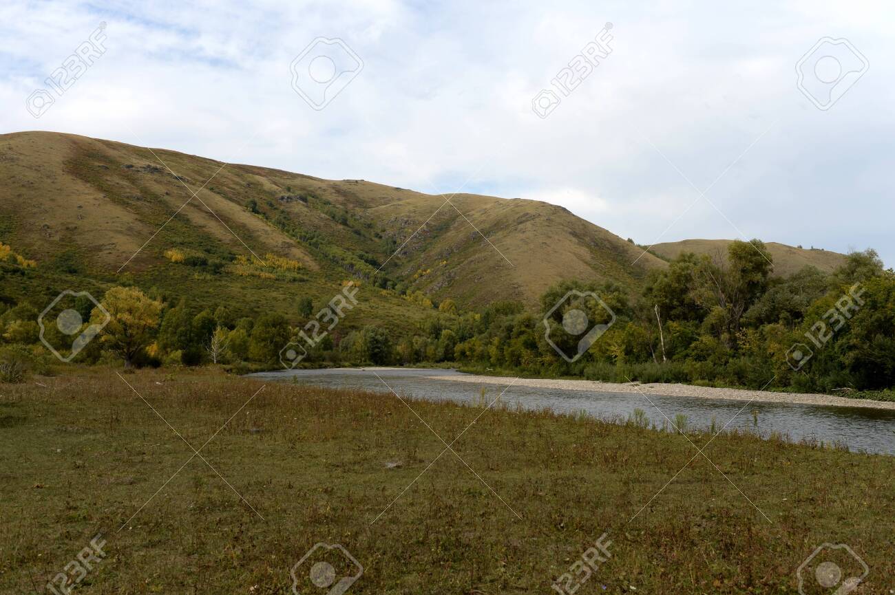The Inya river in the Altai region. Western Siberia. Russia - 130513930 The Inya river in the Altai region. Western Siberia. Russia - 130513930
