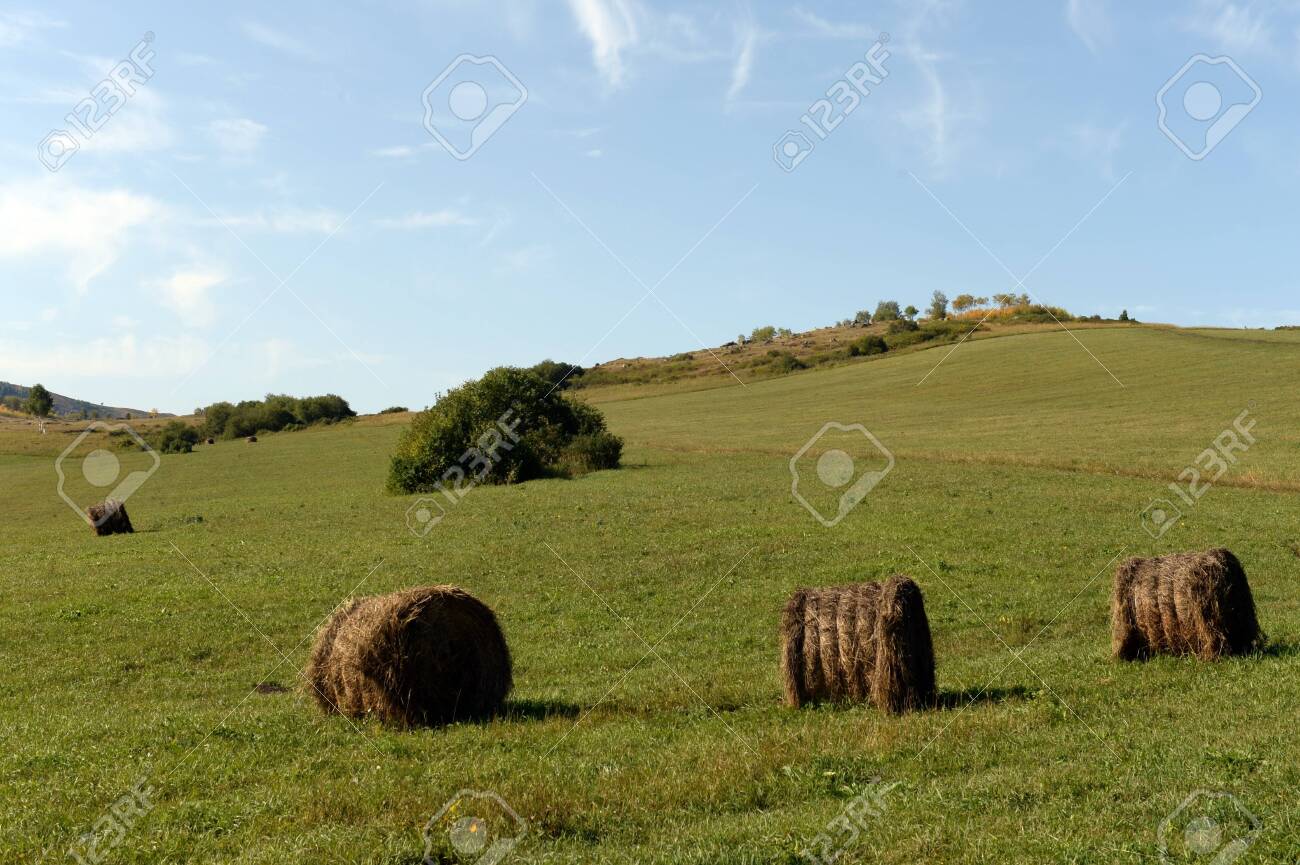 Rural landscape with harvested rolls of hay in the foothills of the Altai mountains - 130513939 Rural landscape with harvested rolls of hay in the foothills of the Altai mountains - 130513939