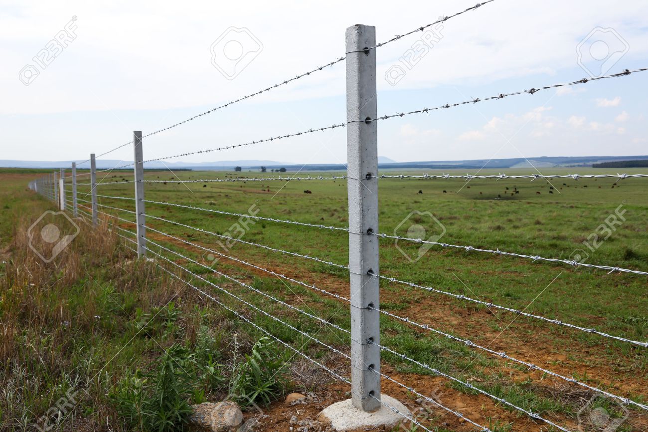 bauernhof zaun zeichnung tor bauernhof zaun mit betonzaunpfähle und stacheldraht litzen standardbild 27232514 mit und bauernhof zaun zeichnung tor bauernhof zaun mit betonzaunpfähle und stacheldraht litzen standardbild 27232514 mit und