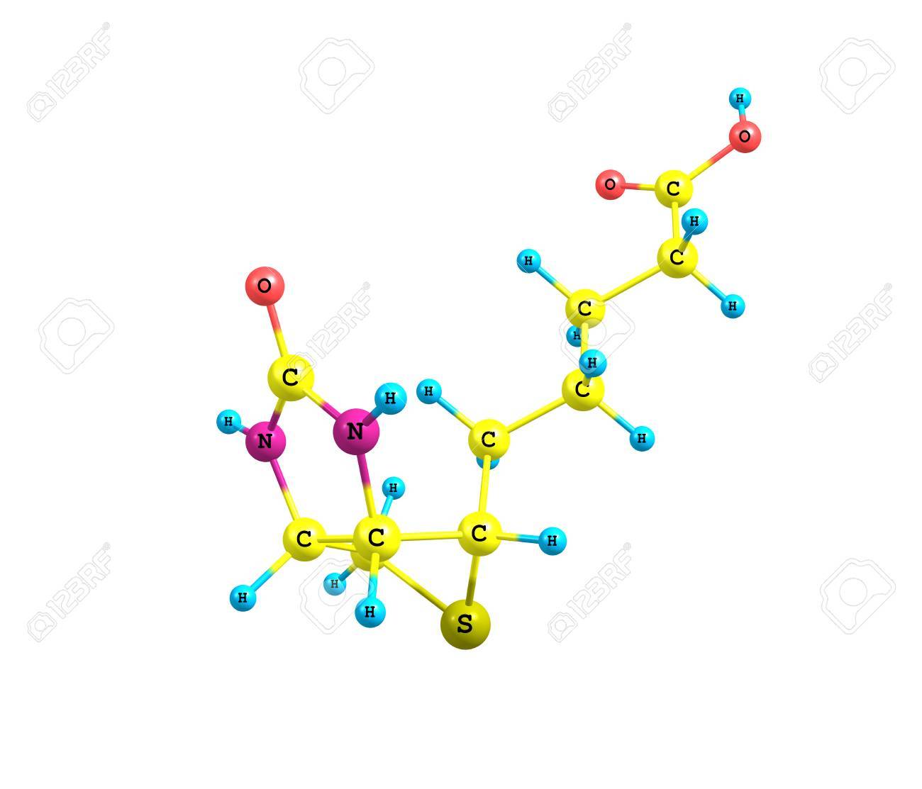 H Vitamini (BiotinB7 Vitamini) H Vitamini (BiotinB7 Vitamini)