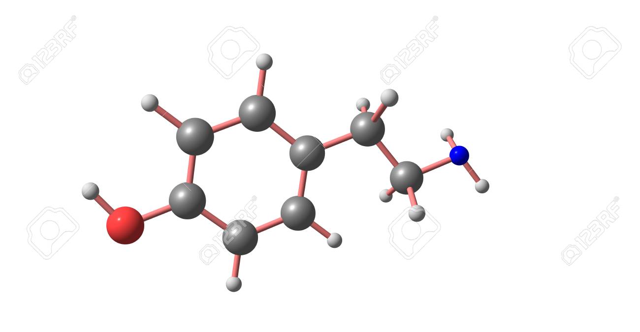 Tyramine Molecular Structure Isolated On White Stock Photo Picture And Royalty Free Image Image Tyramine Molecular Structure Isolated On White Stock Photo Picture And Royalty Free Image Image