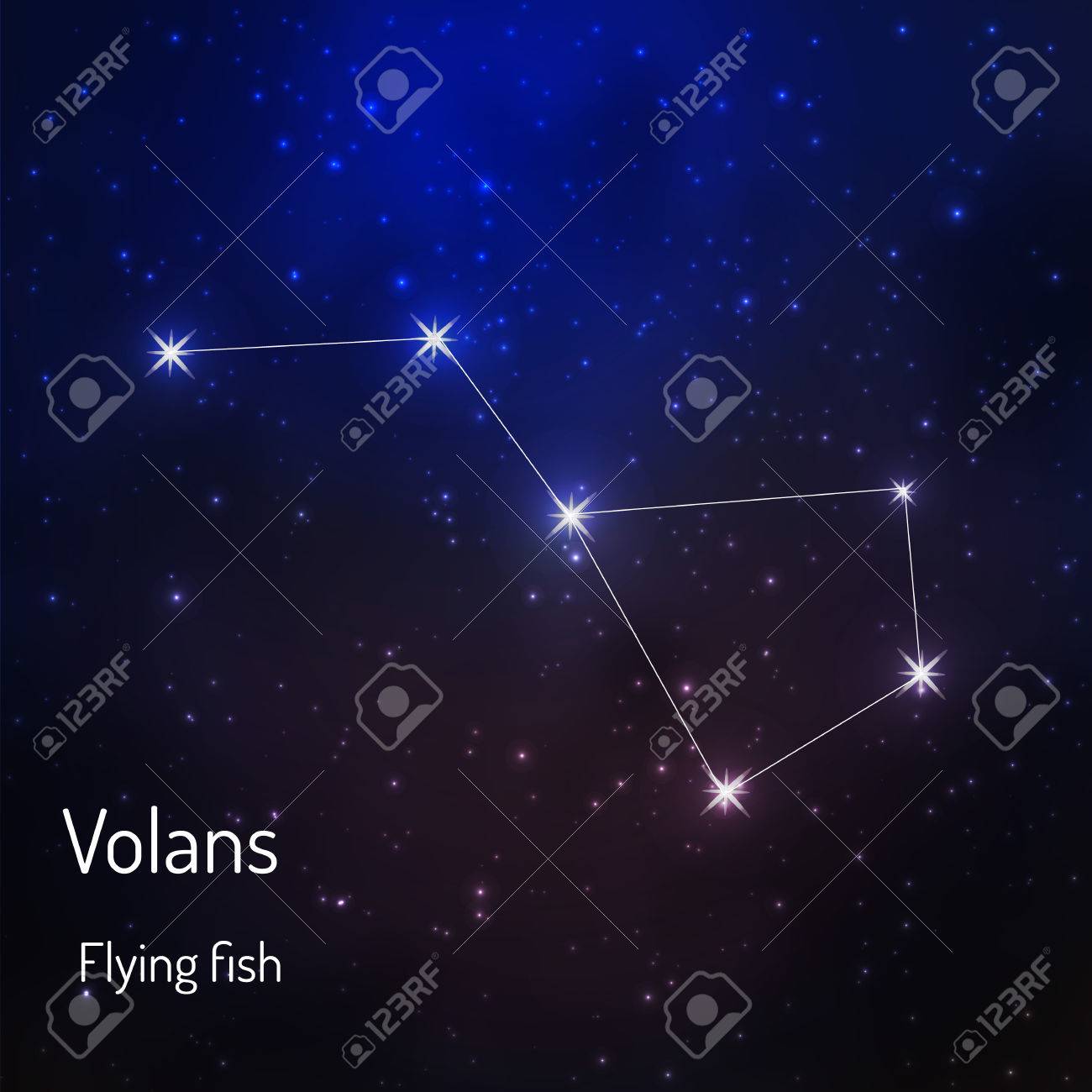 夜の星空の飛魚 トビウオ 座の星座 ベクトル図のイラスト素材 ベクタ Image