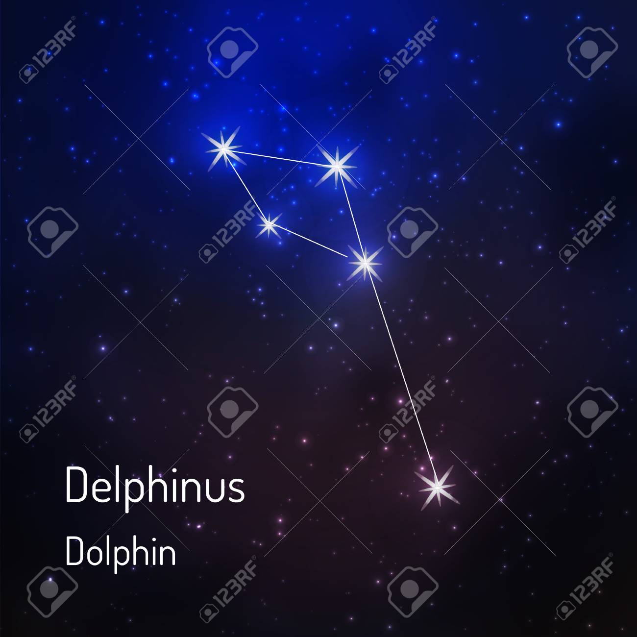 Constellation Dolphin - küçük ama ilginç Constellation Dolphin - küçük ama ilginç