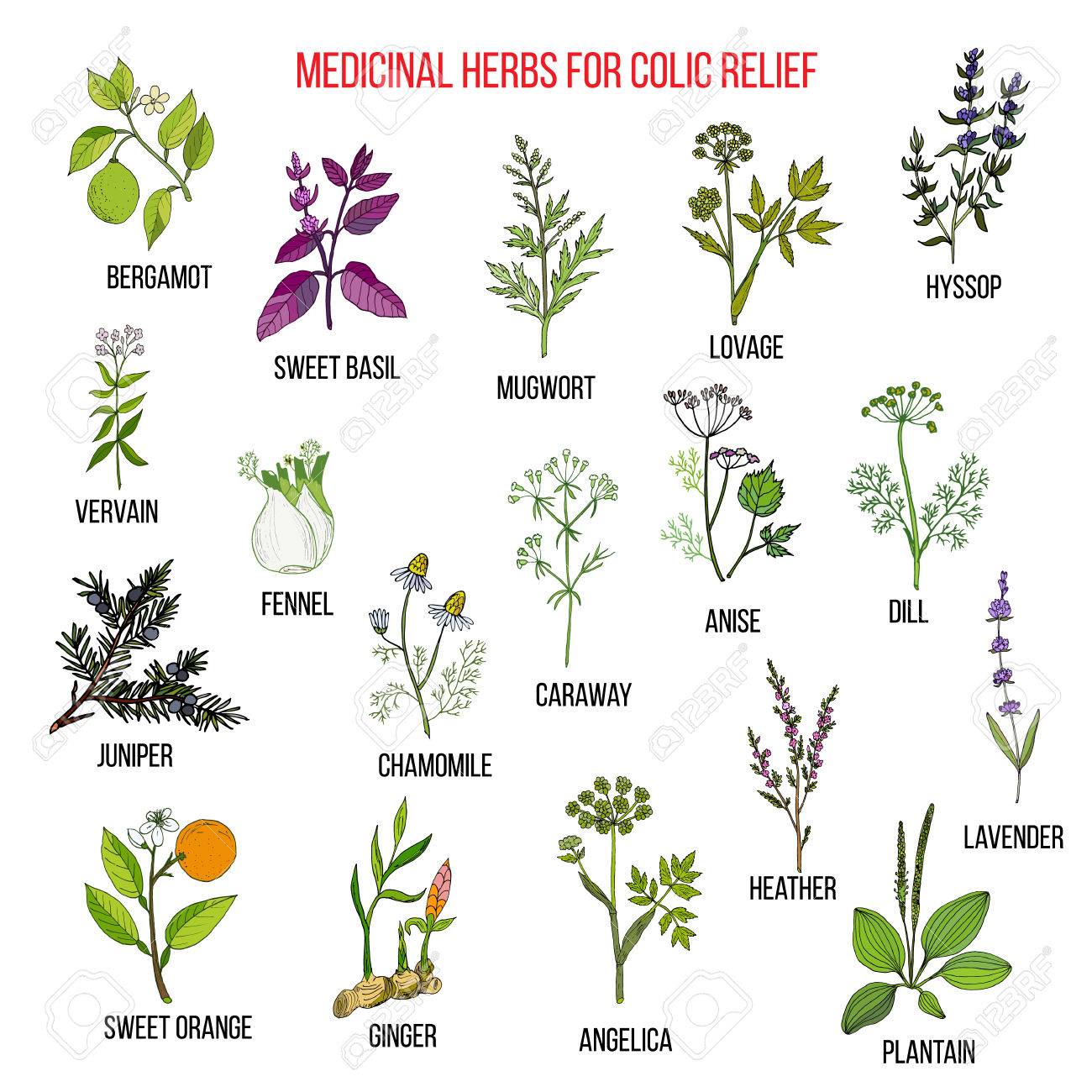 innopet buggy comfort efa