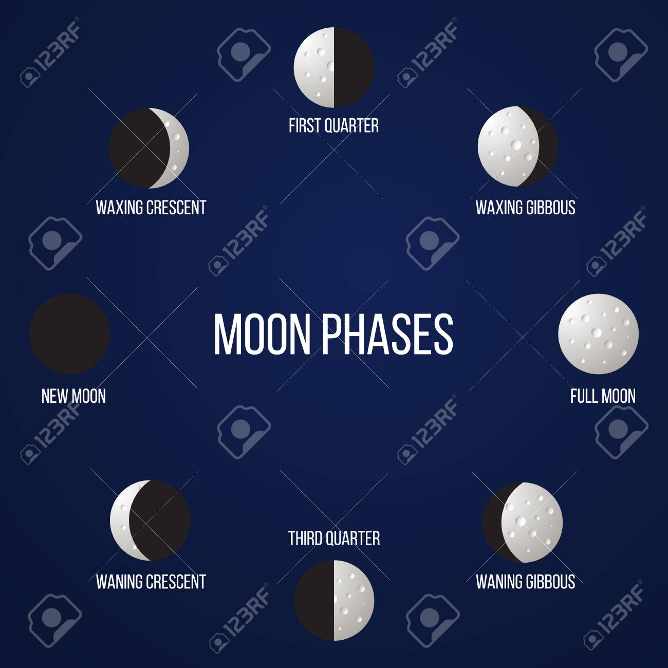 Moon Phase Moon Print Moon Illustration Lunar Phases