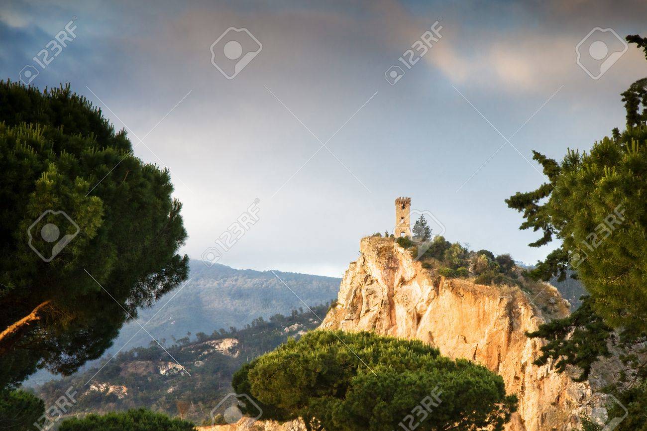 etiam-dictum-ipsum-a-felis