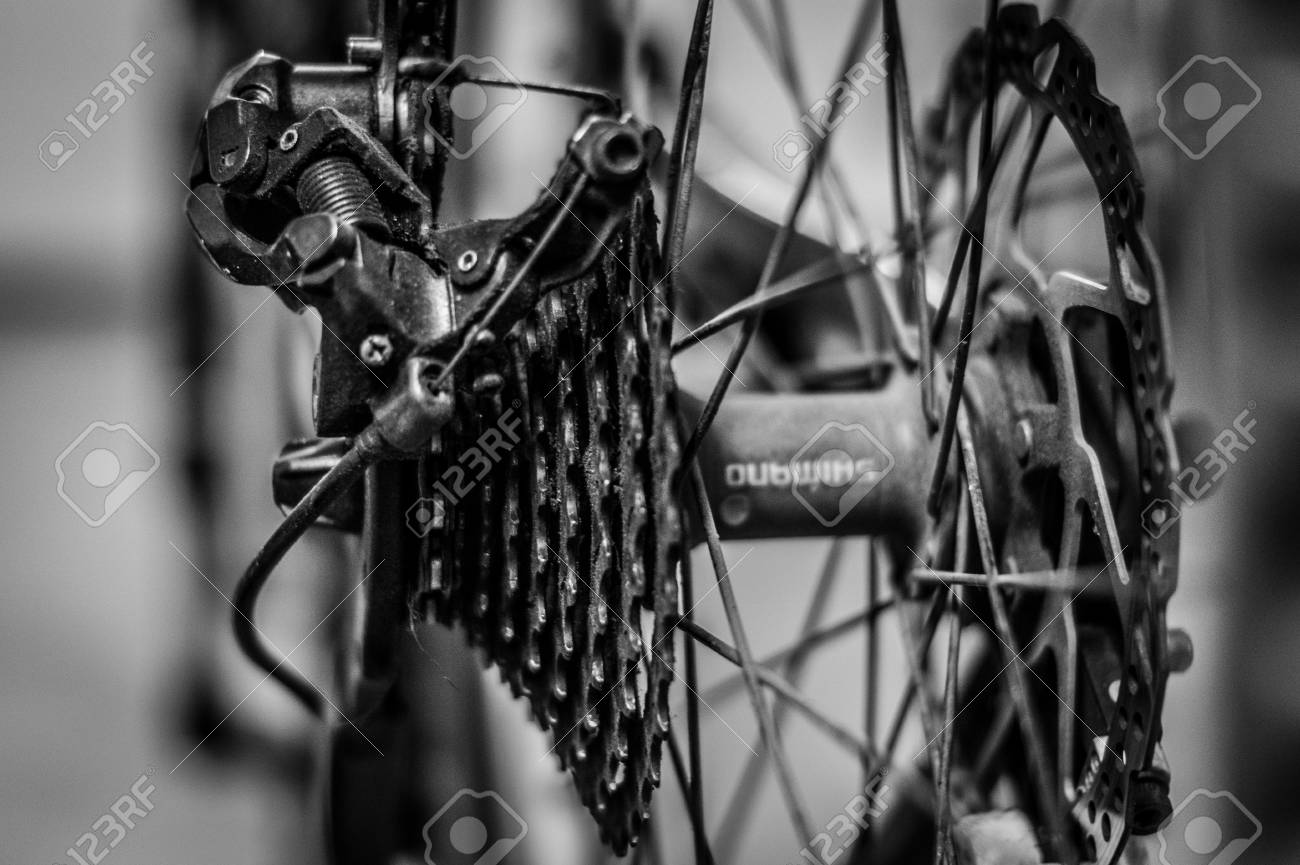 etiam-dictum-ipsum-a-felis